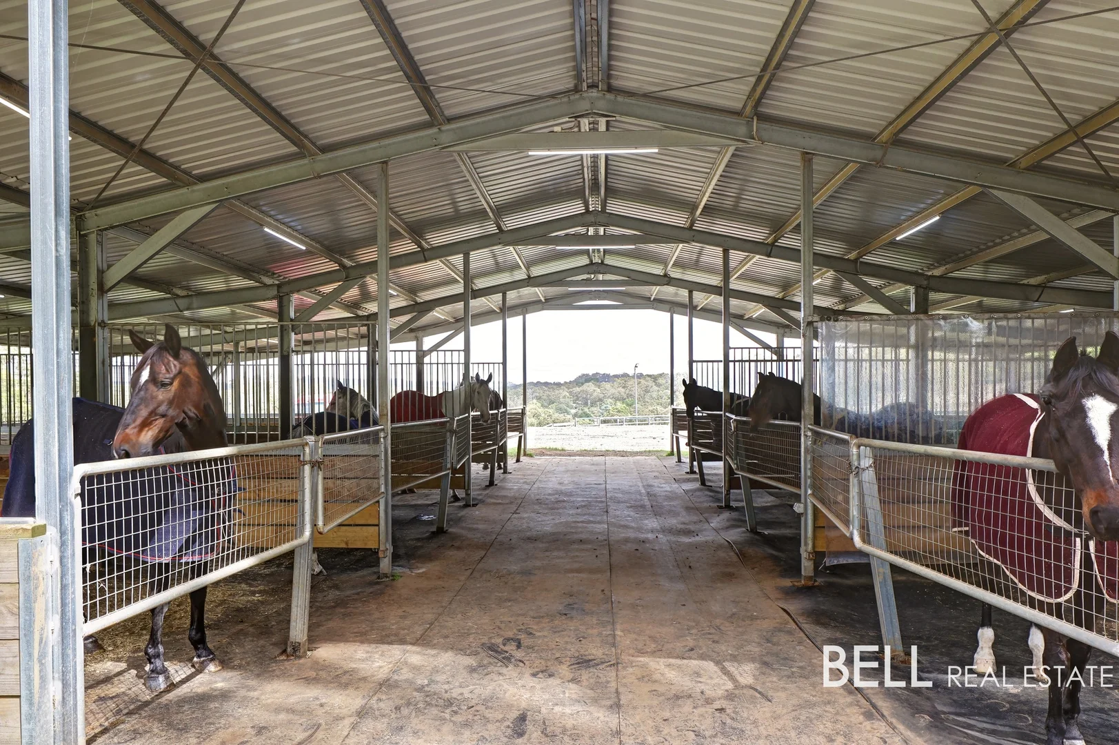 Additional image 28 of 8 Cherry Road, Avonsleigh VIC 3782