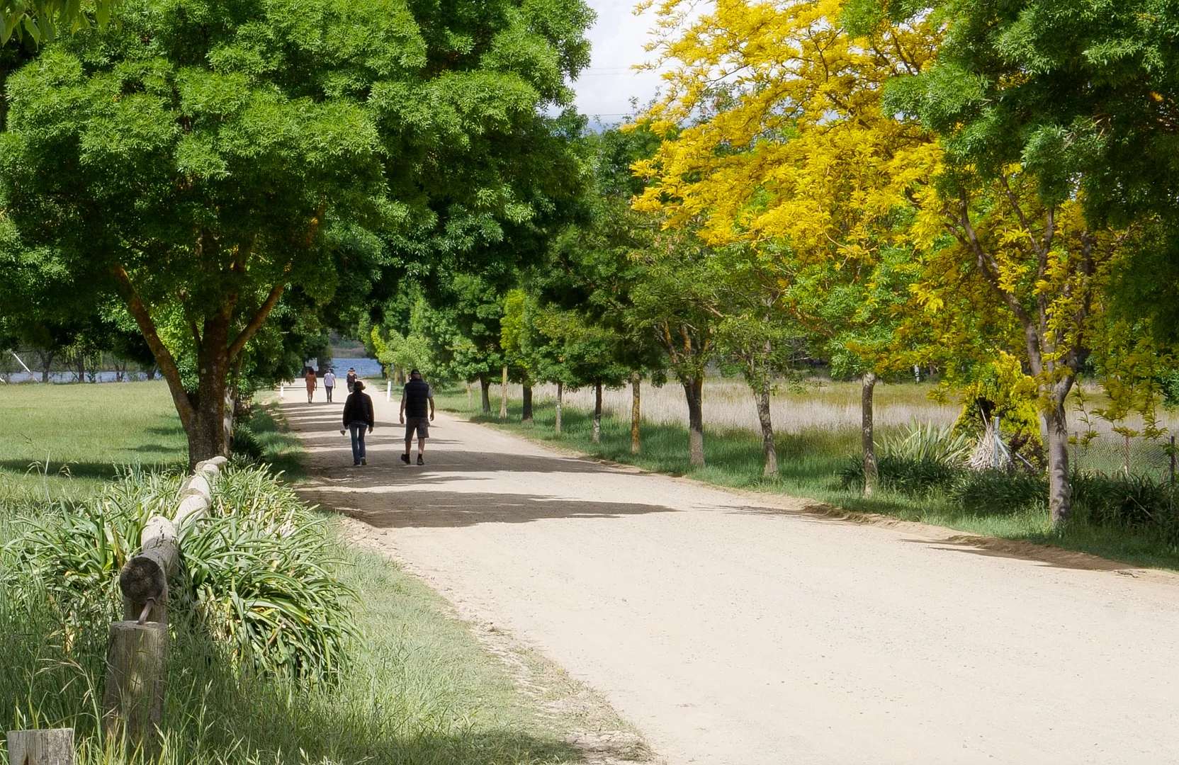 Additional image 9 of 103 Ian Holt Drive, Lidsdale NSW 2790