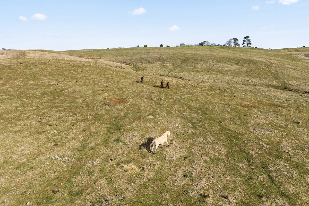 Additional image 14 of 4595 Oberon Road, Taralga NSW 2580