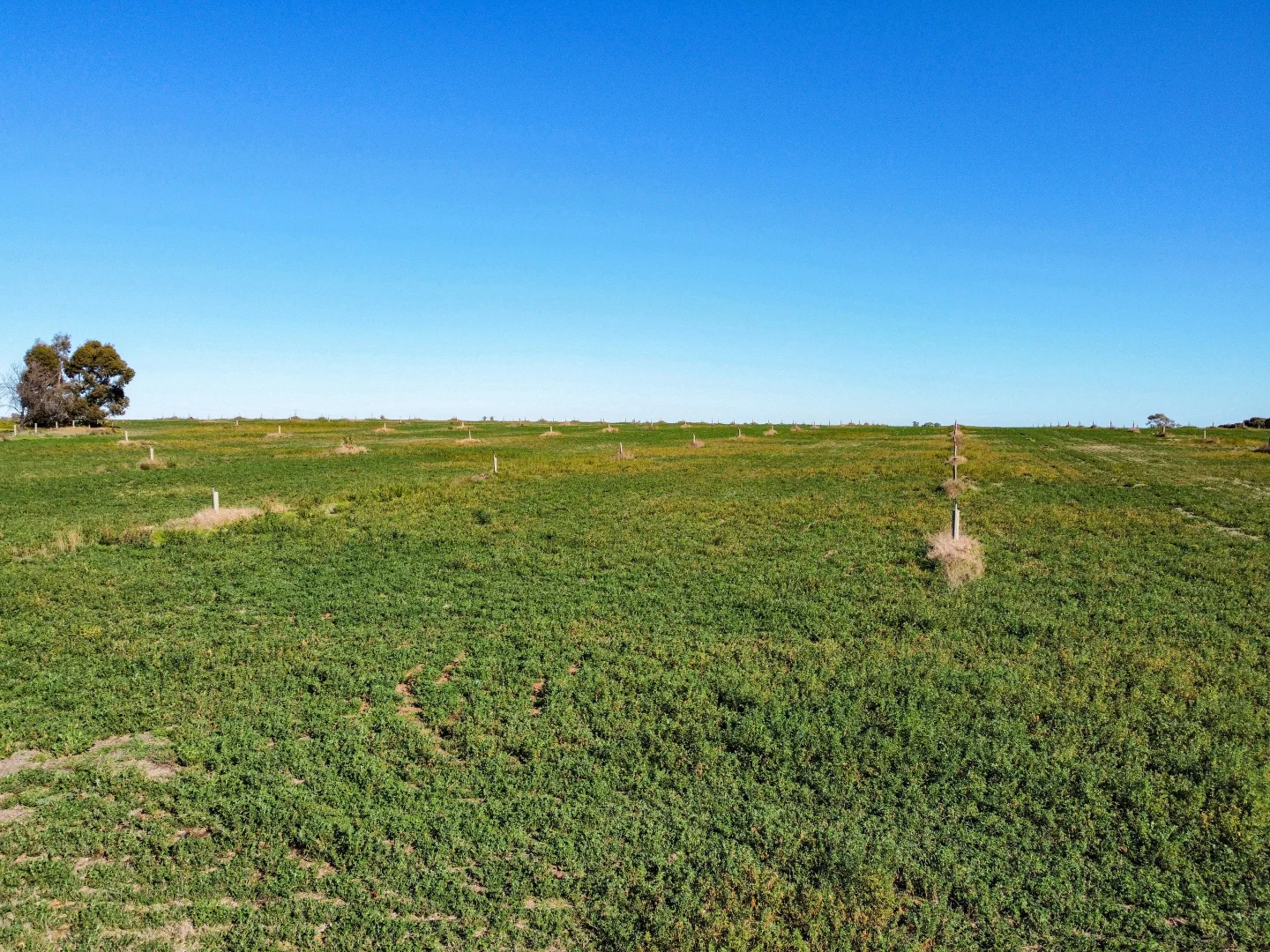 Additional image 15 of 145 Steicke Road, Beverford VIC 3590