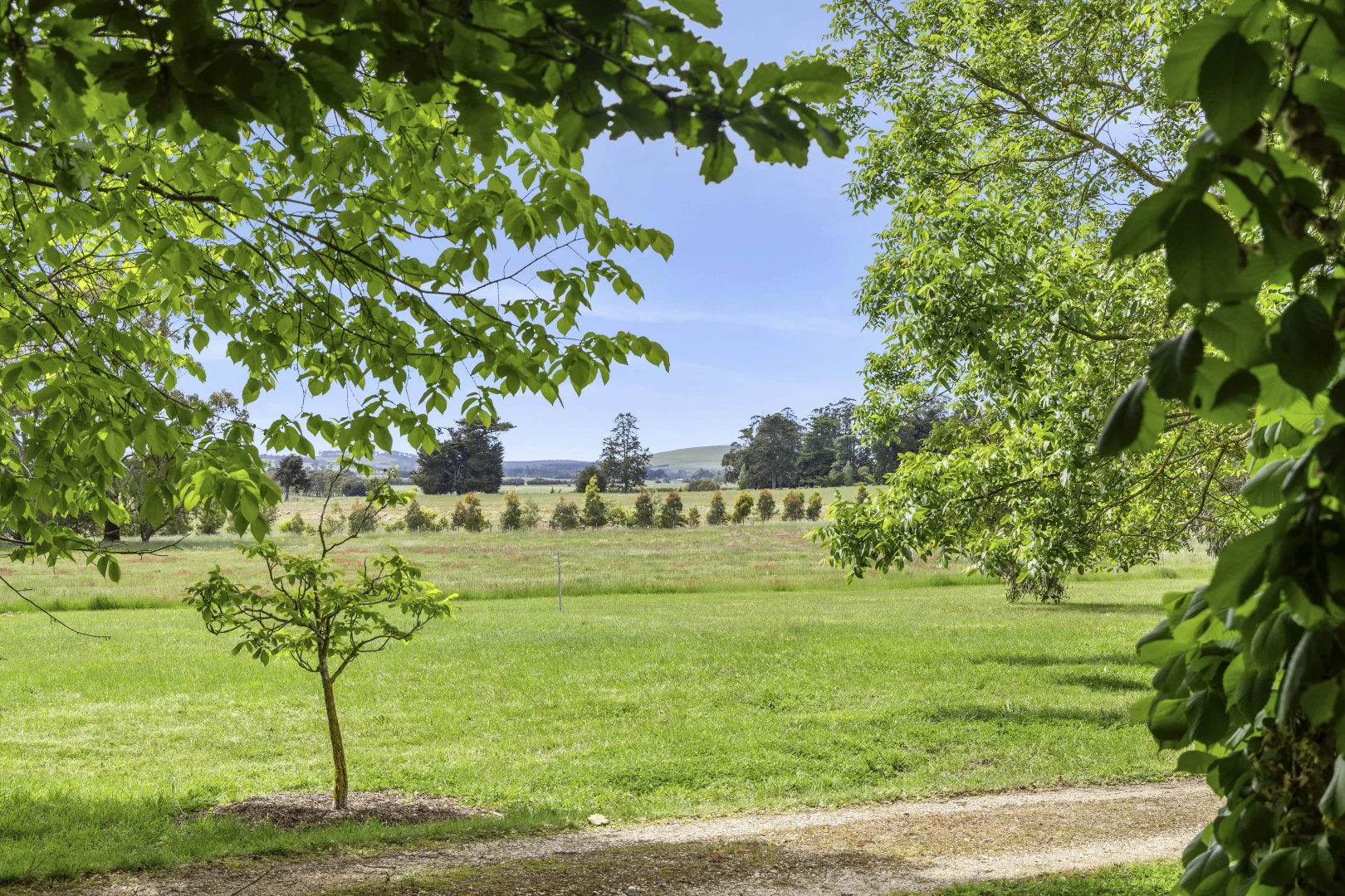 Additional image 22 of 84 Church Parade, Kingston VIC 3364