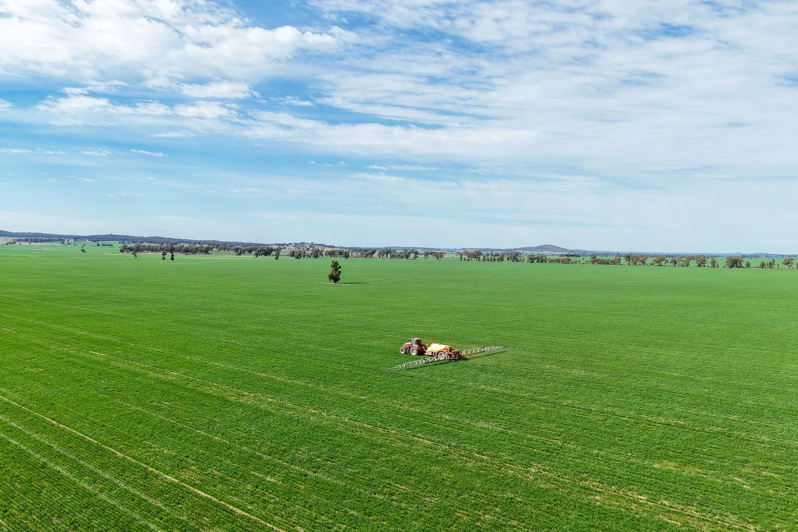 Weise Aggregation, Beckom, Ardlethan,, Ariah Park NSW 2665