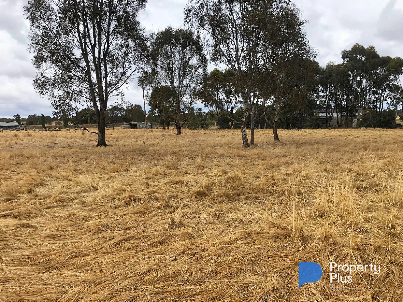 Additional image 9 of 5 Whittakers Lane, Talbot VIC 3371