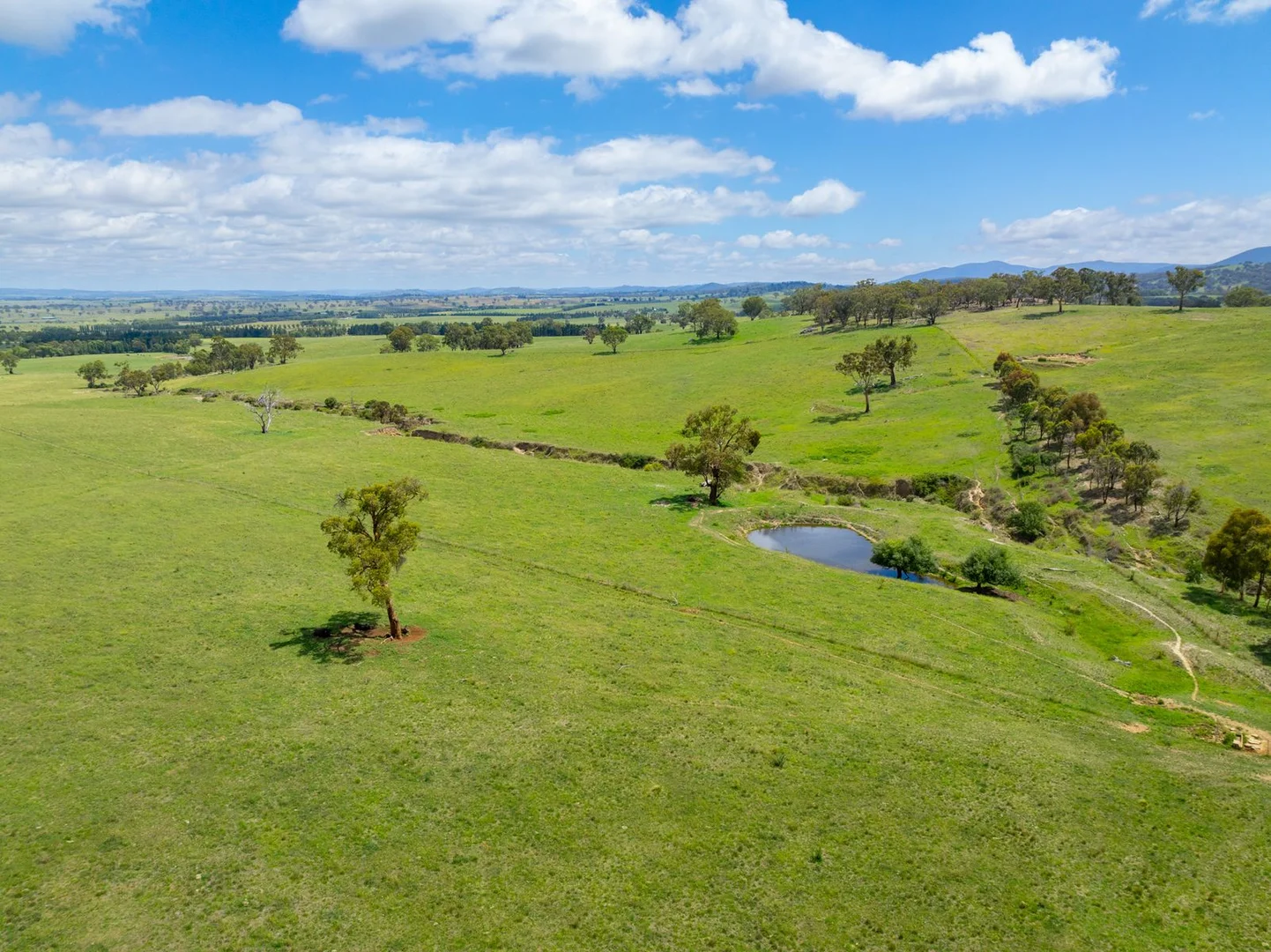 Additional image 42 of 188 Burkes Lane, Brewongle NSW 2795