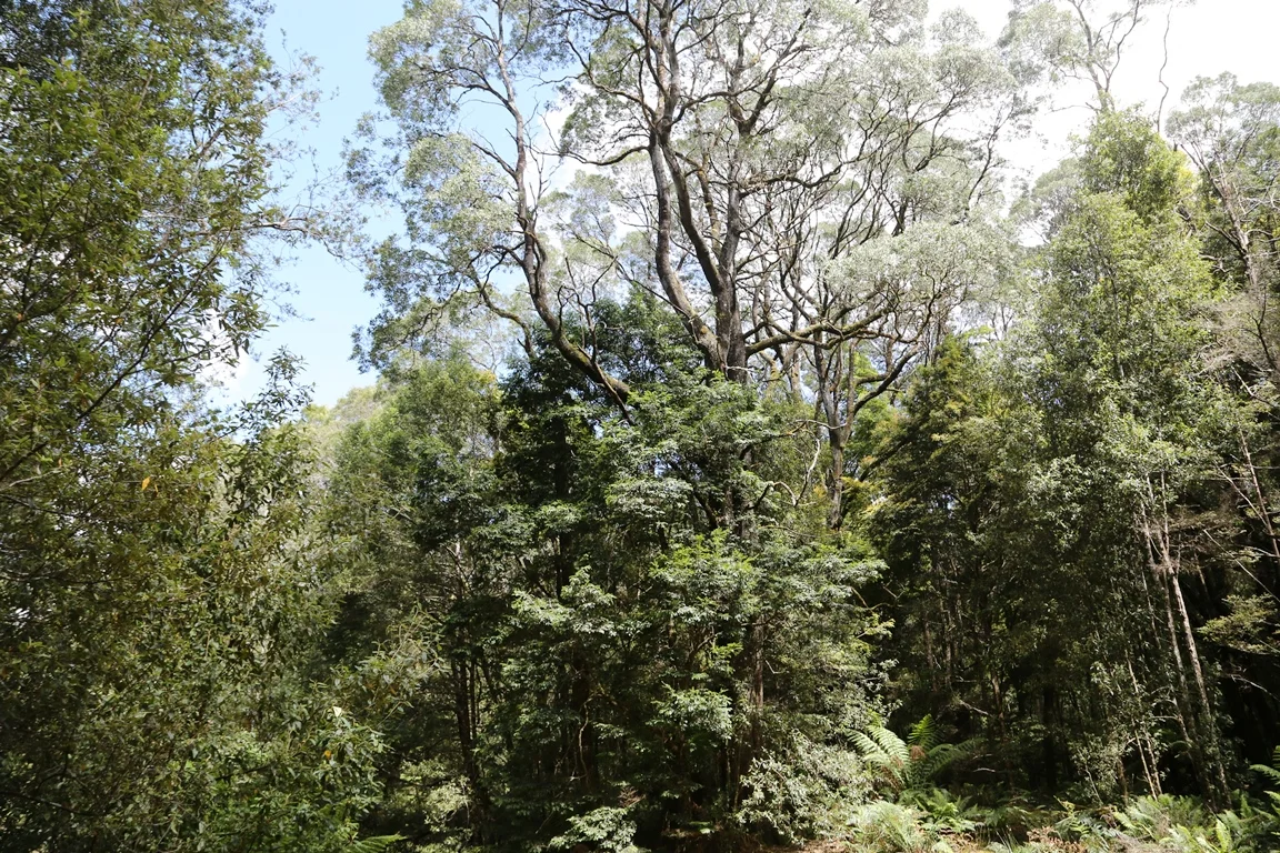 Additional image 19 of 1 Croles Road, Trowutta TAS 7330