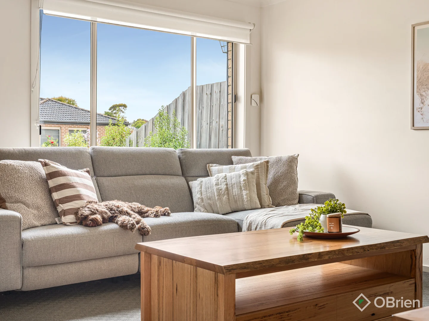 Additional image 15 of 56 Szer Way, Carrum Downs VIC 3201