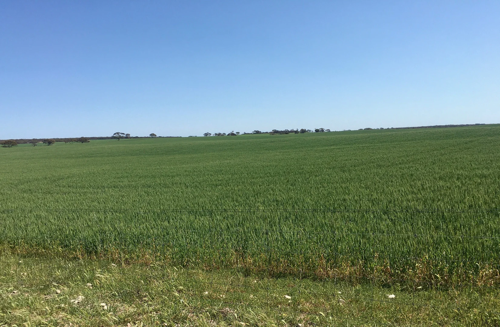 Additional image 19 of 163 McAskill Road, Karkoo SA 5632