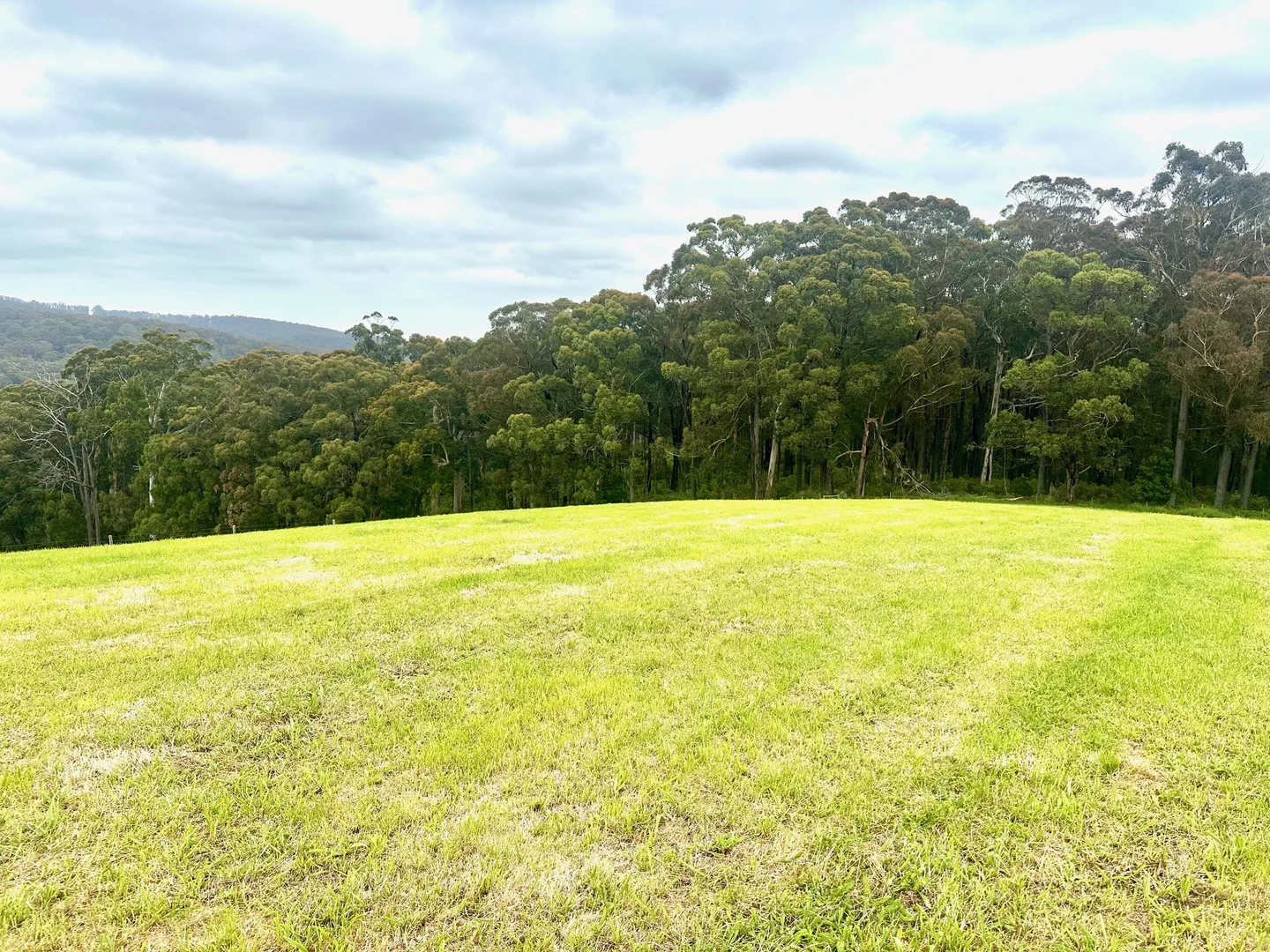 Additional image 13 of 655 Old Thorpdale Road, Mirboo North VIC 3871