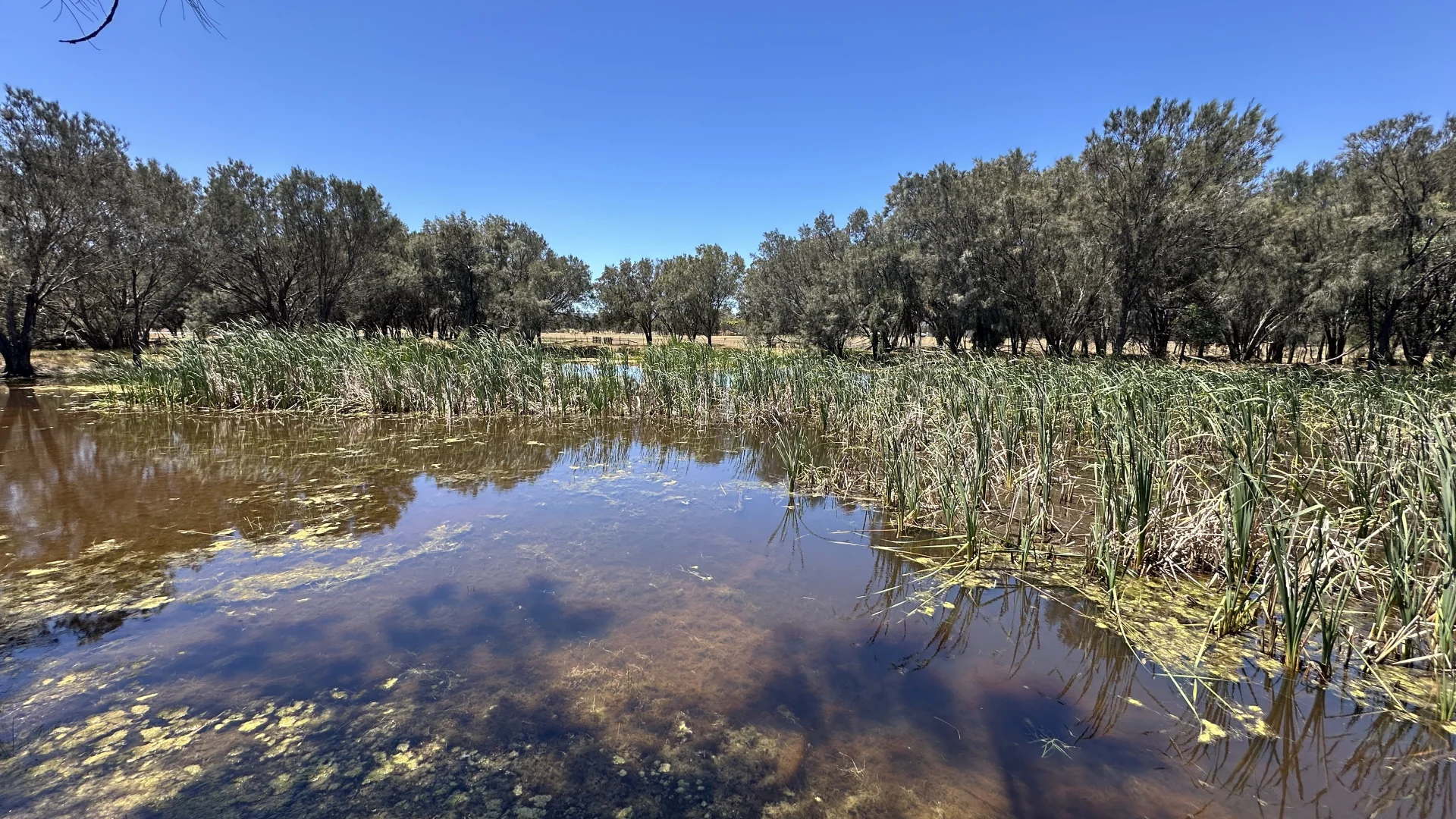 Additional image 2 of 1863 Thomas Road, Oakford WA 6121