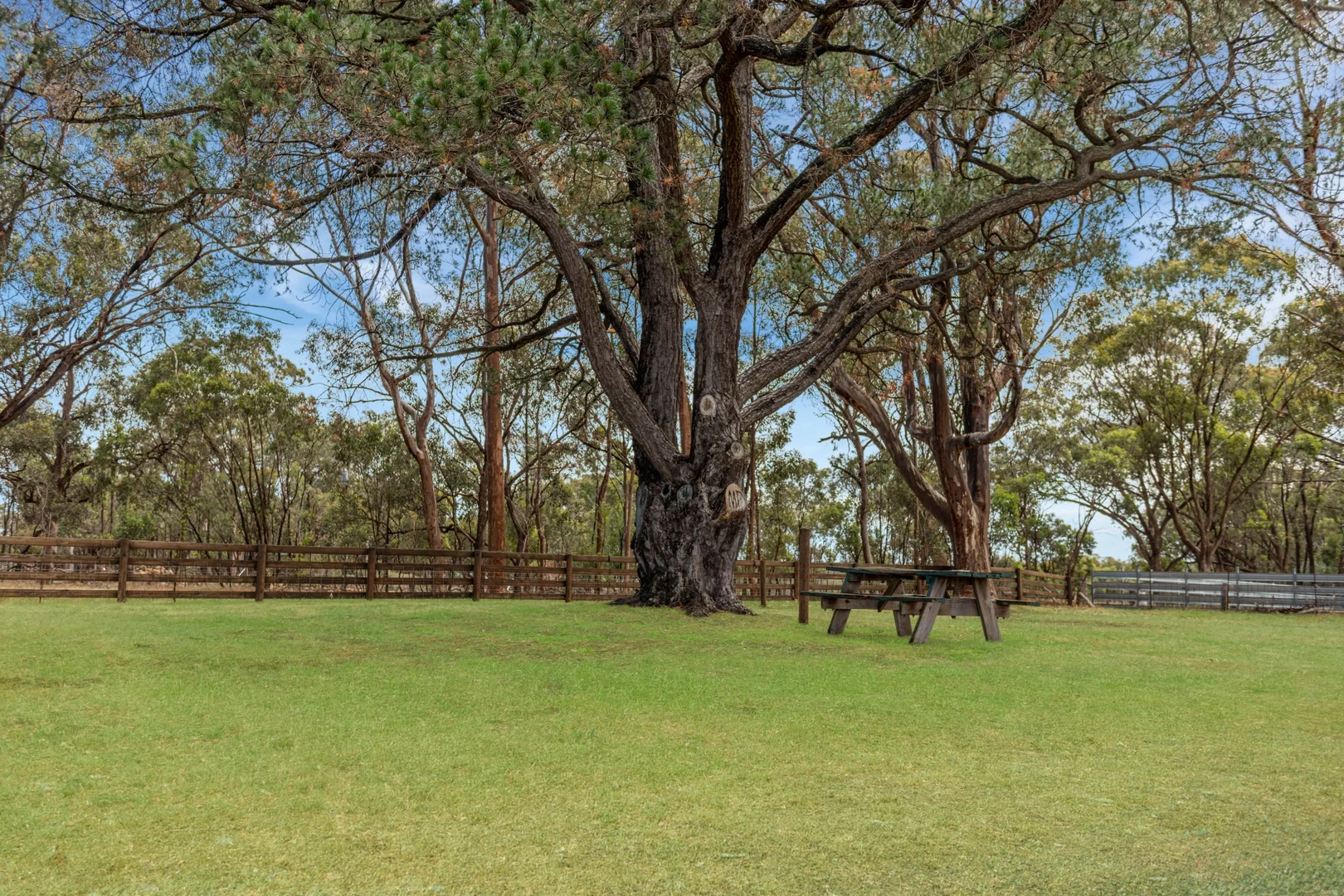 Additional image 11 of 450 Camerons Creek Road, Broadford VIC 3658