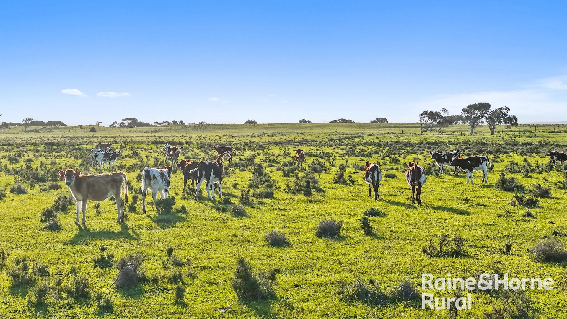 Additional image 20 of Lot 3 Flagstaff Road, Wellington SA 5259