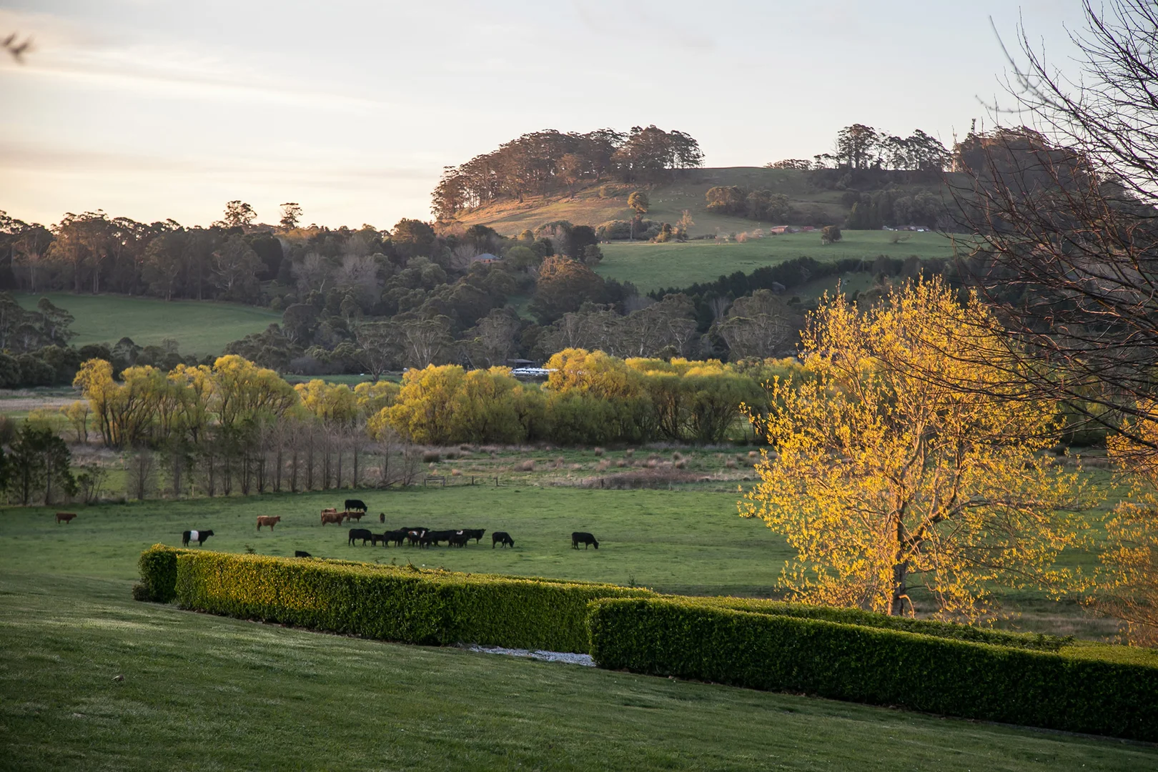 Additional image 26 of 100 Blencowes Lane, Wildes Meadow NSW 2577