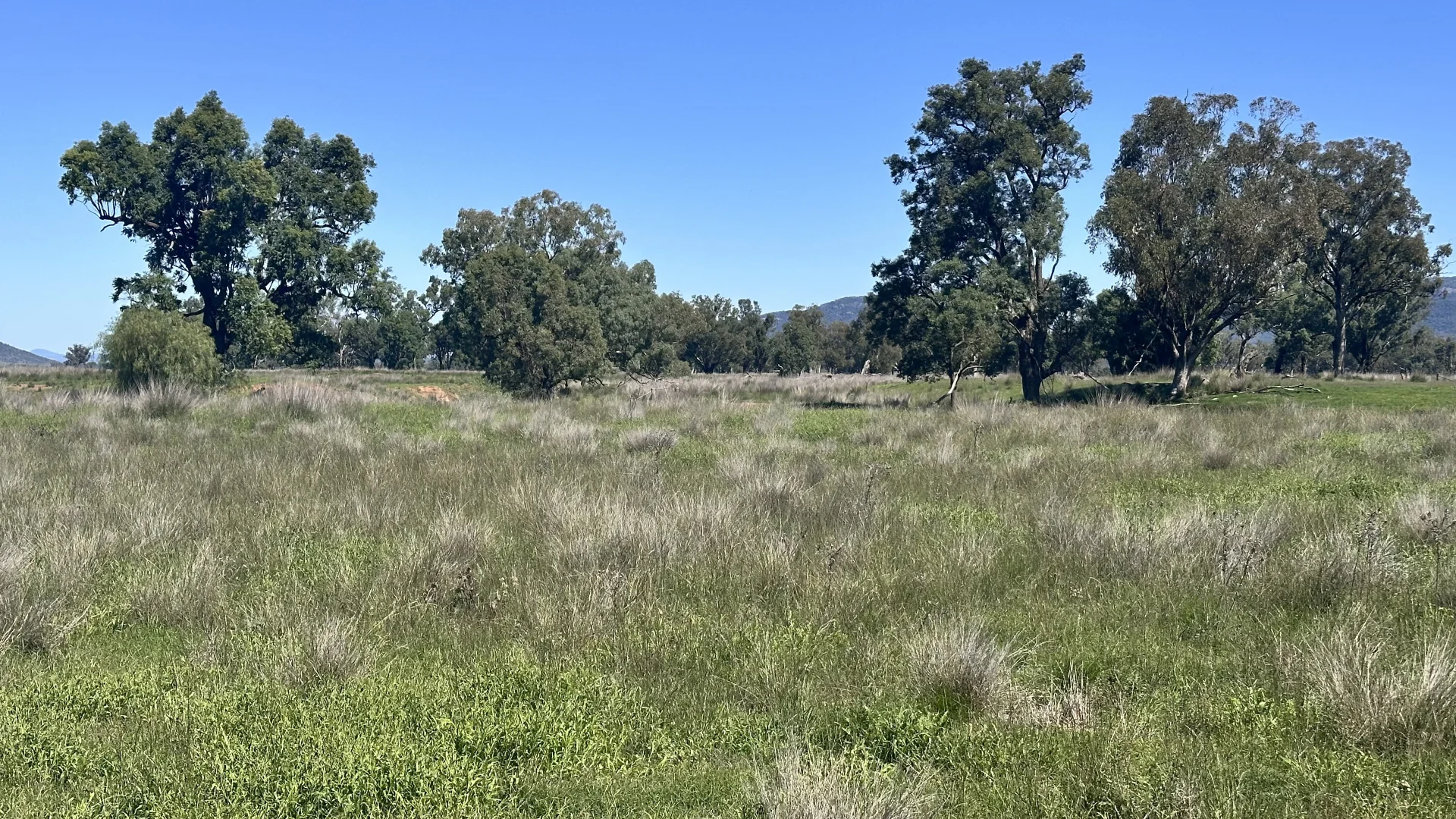 Additional image 14 of 450 Bridges Road, Gunnedah NSW 2380