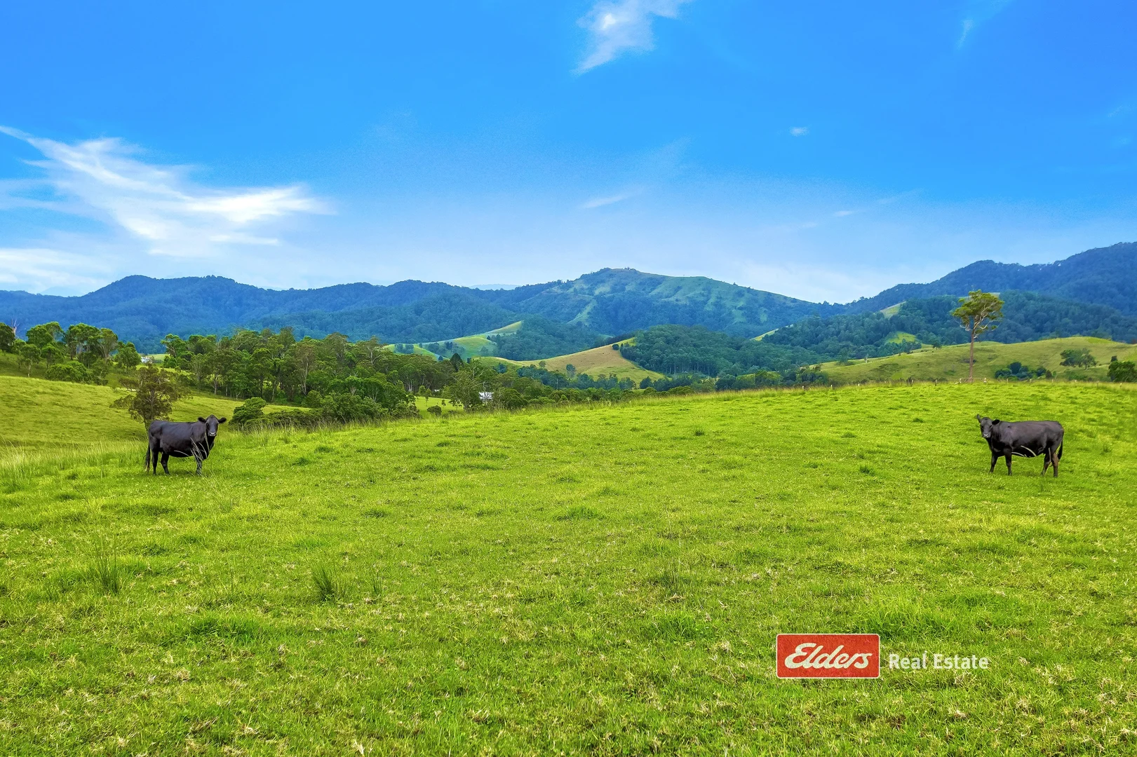 Additional image 12 of 2121 Salisbury Road, Salisbury via, Dungog NSW 2420