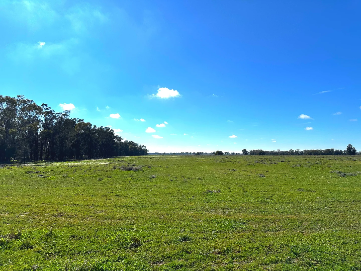 Additional image 29 of Buddabadah NSW 2825