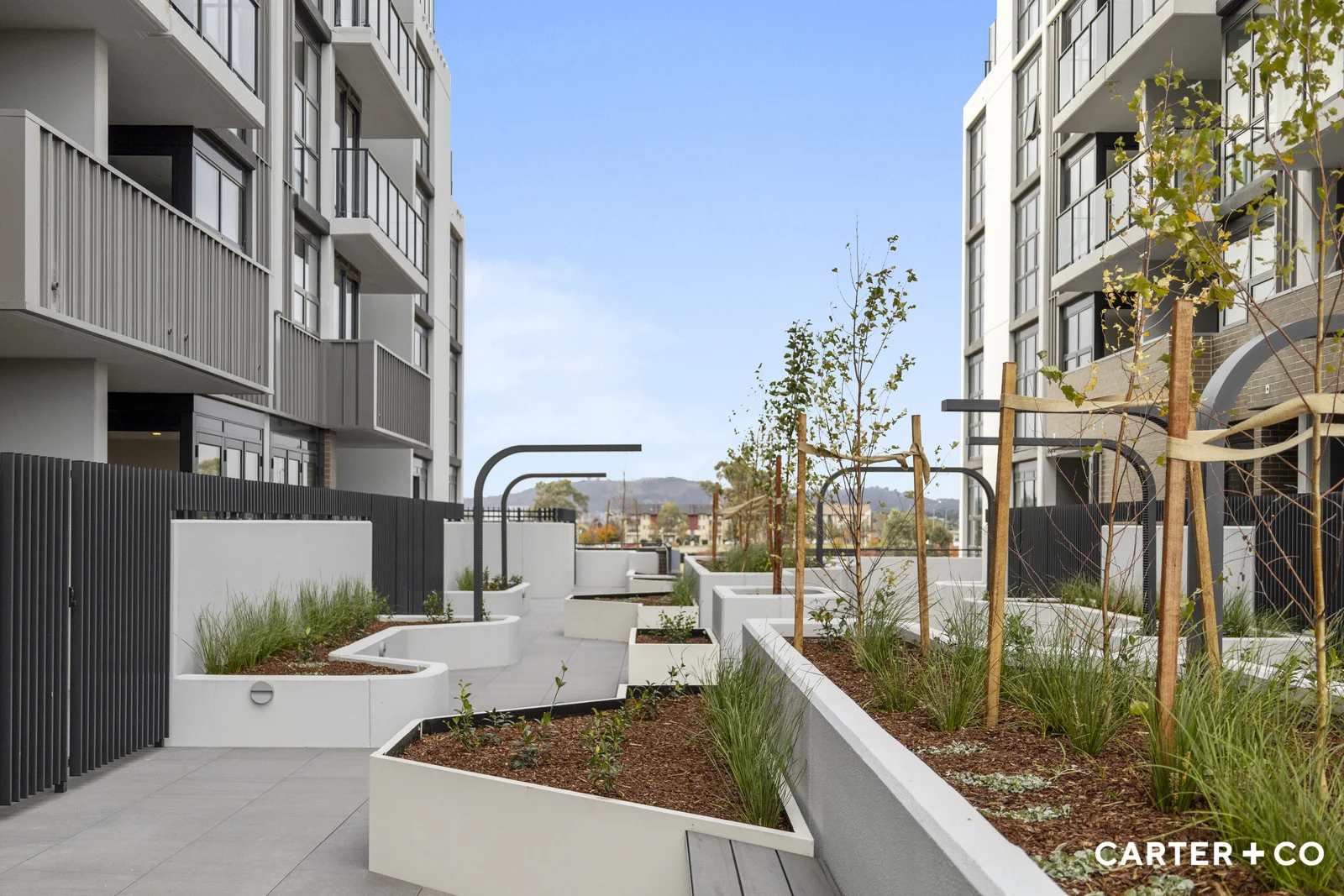 Additional image 16 of 71/70 Efkarpidis Street, Gungahlin ACT 2912