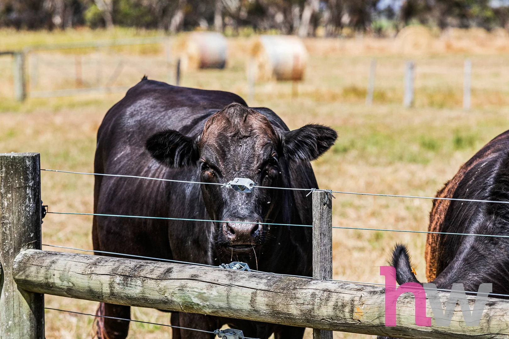 Additional image 23 of 20 Swabys Lane, Winchelsea VIC 3241