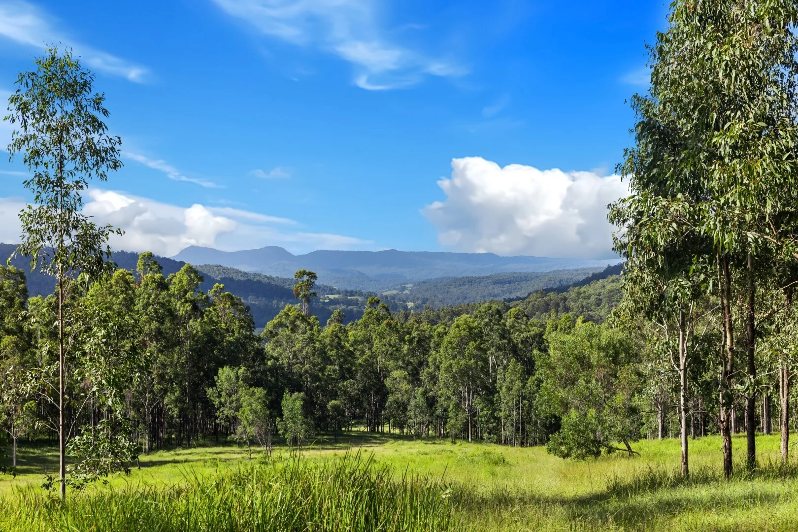 Additional image 7 of 62-69 Duck Creek Road, Bonalbo NSW 2469