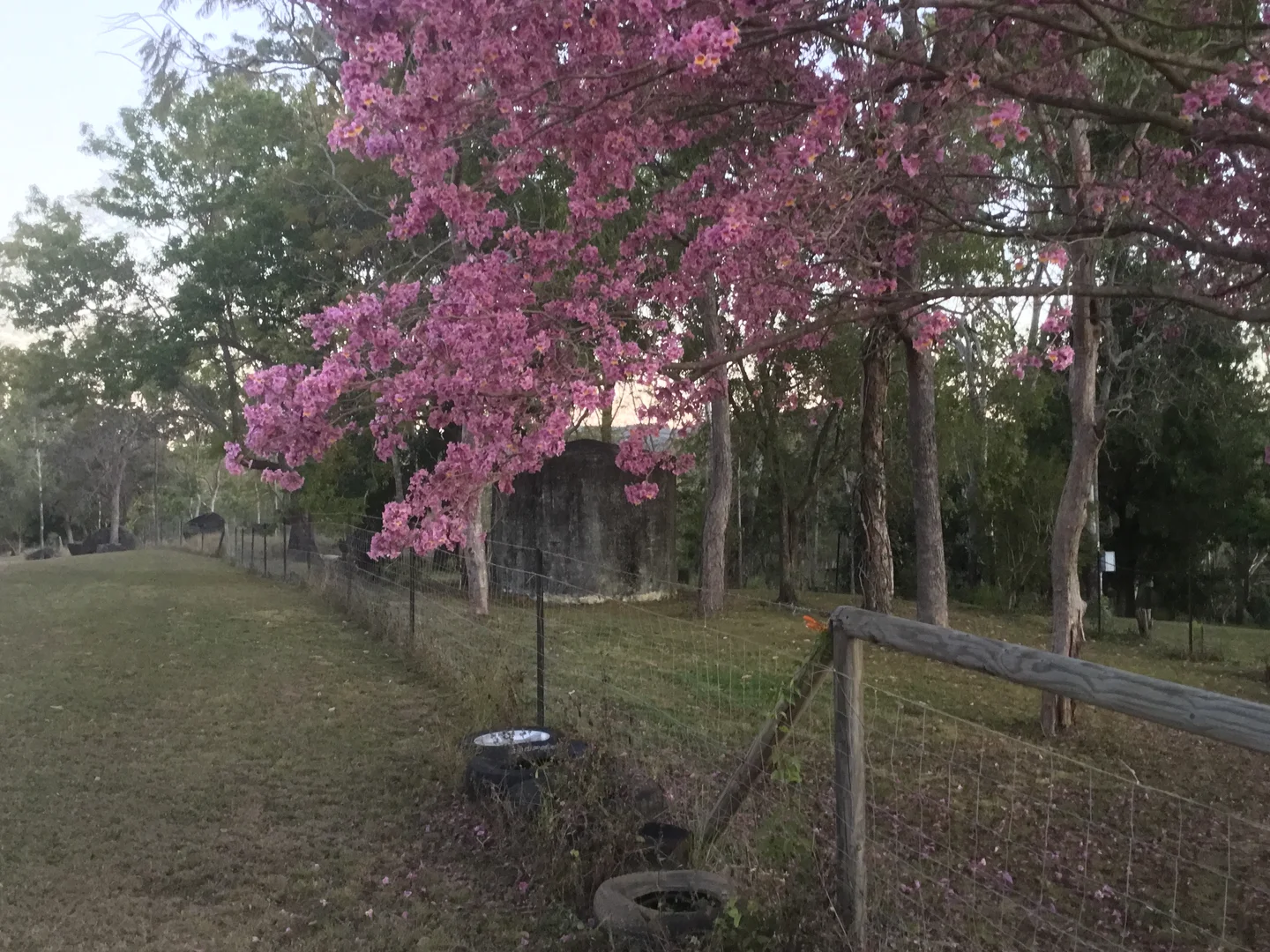 Additional image 23 of 39 Fryers Road, Hervey Range QLD 4817