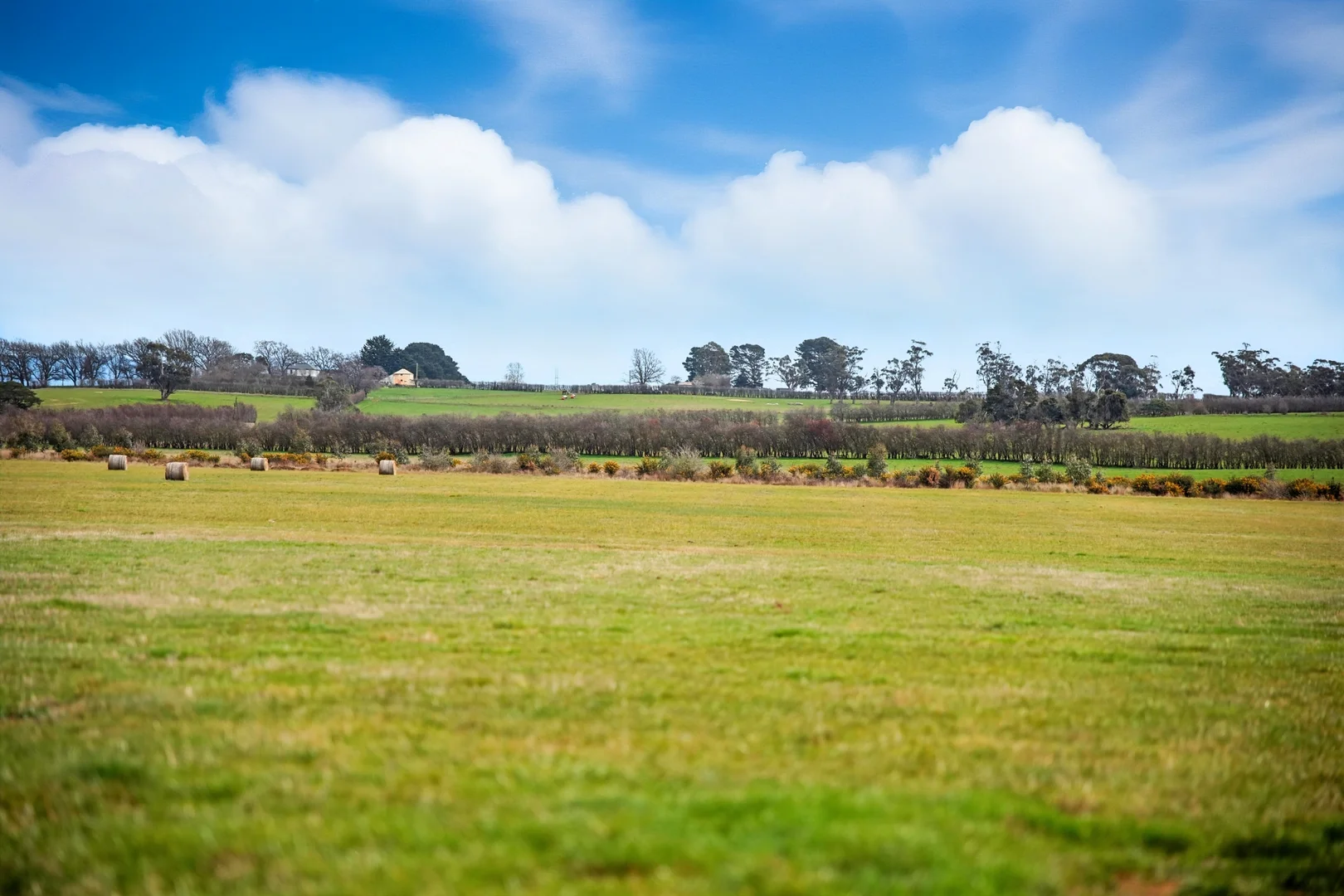 Additional image 18 of 26 Wilmores Lane, Longford TAS 7301