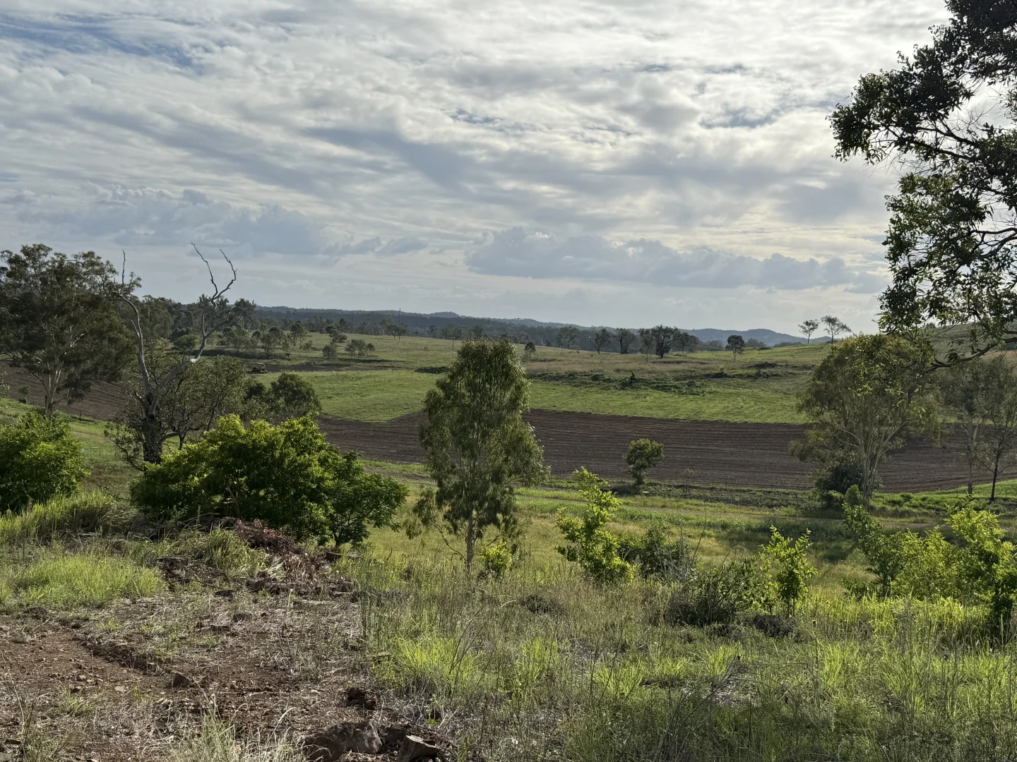 Additional image 8 of 379 Dakiel Road, Bancroft QLD 4630