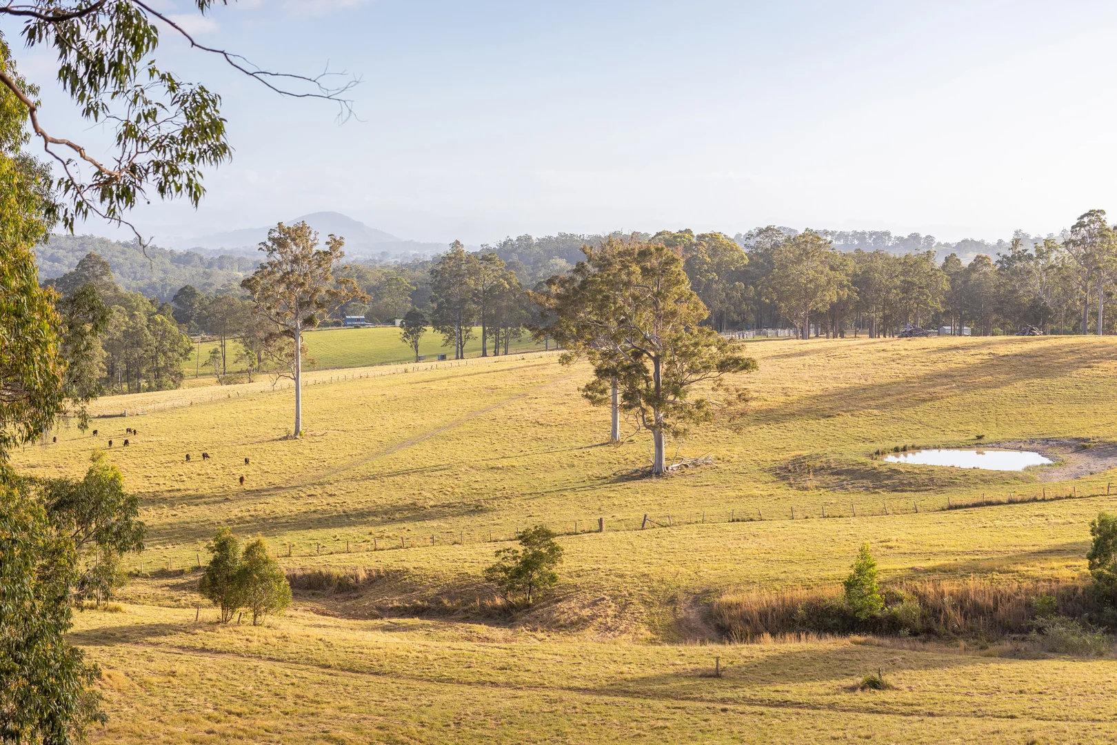 Additional image 14 of 152 Red Gully Road, Burrell Creek NSW 2429