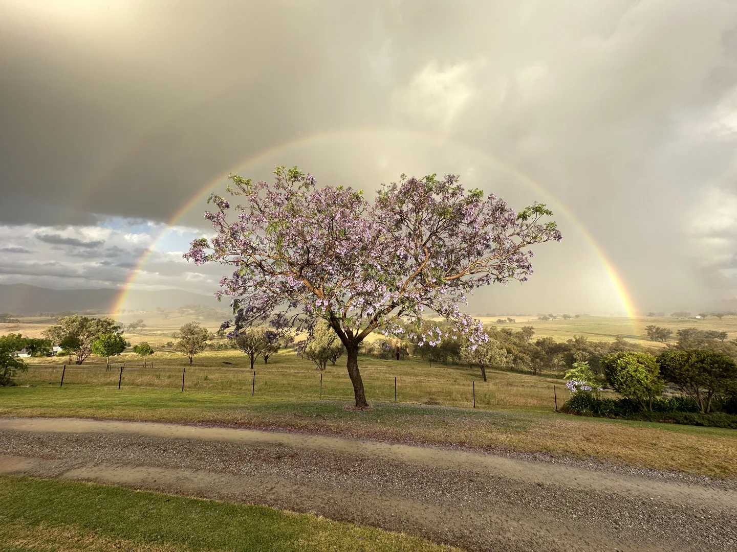 Additional image 44 of 322 Tongues Lane, Tamworth NSW 2340