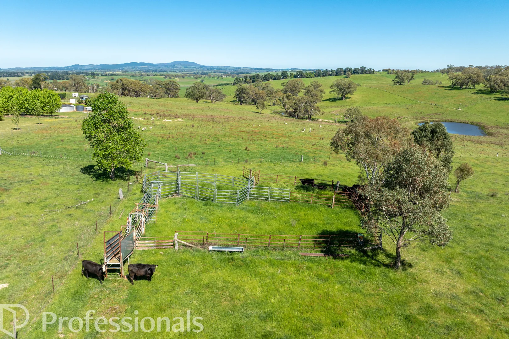 Additional image 40 of 225 Emu Swamp Road, Orange NSW 2800