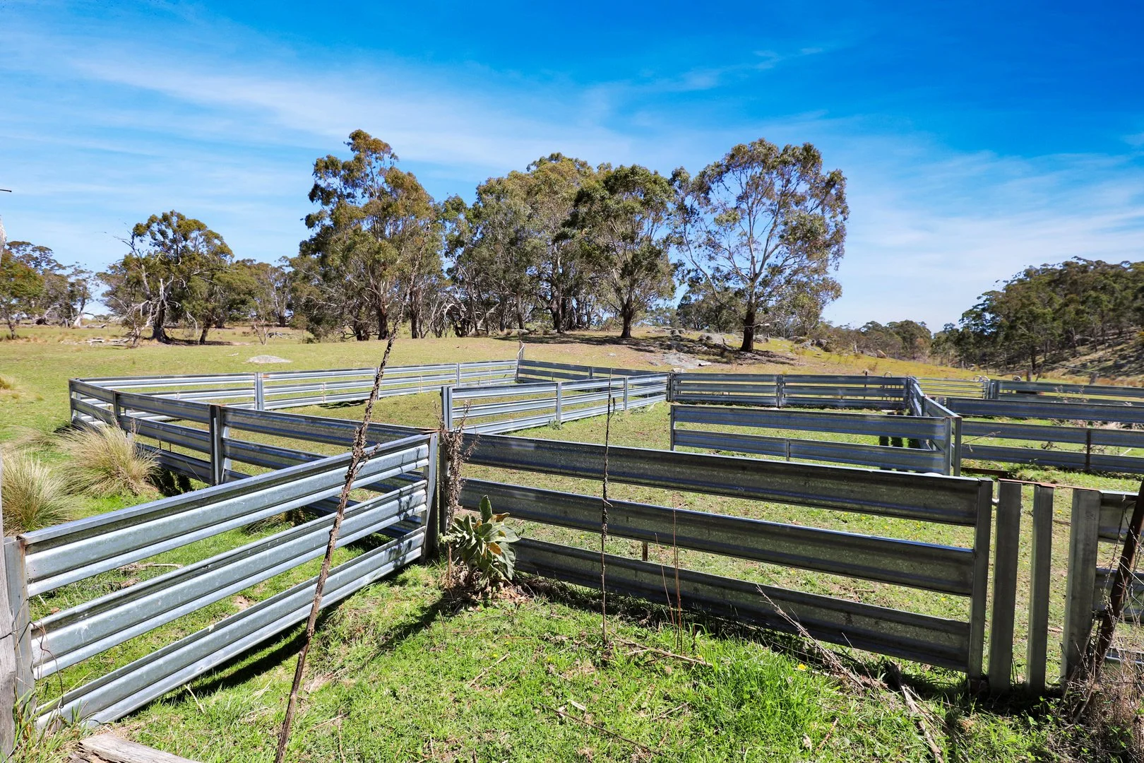 Additional image 17 of "Glenroy" Corrowong Road, Delegate NSW 2633
