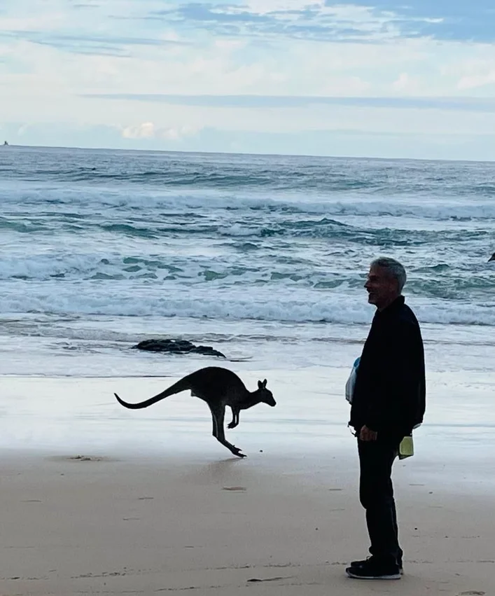 Additional image 28 of 80 Cardwell Street, Arakoon NSW 2431