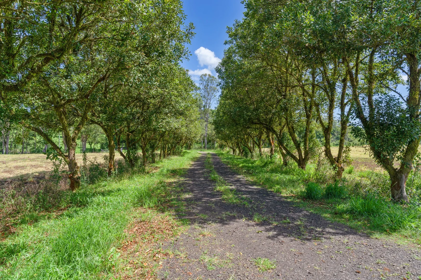 Additional image 10 of 36B Brooklet Road, Newrybar NSW 2479
