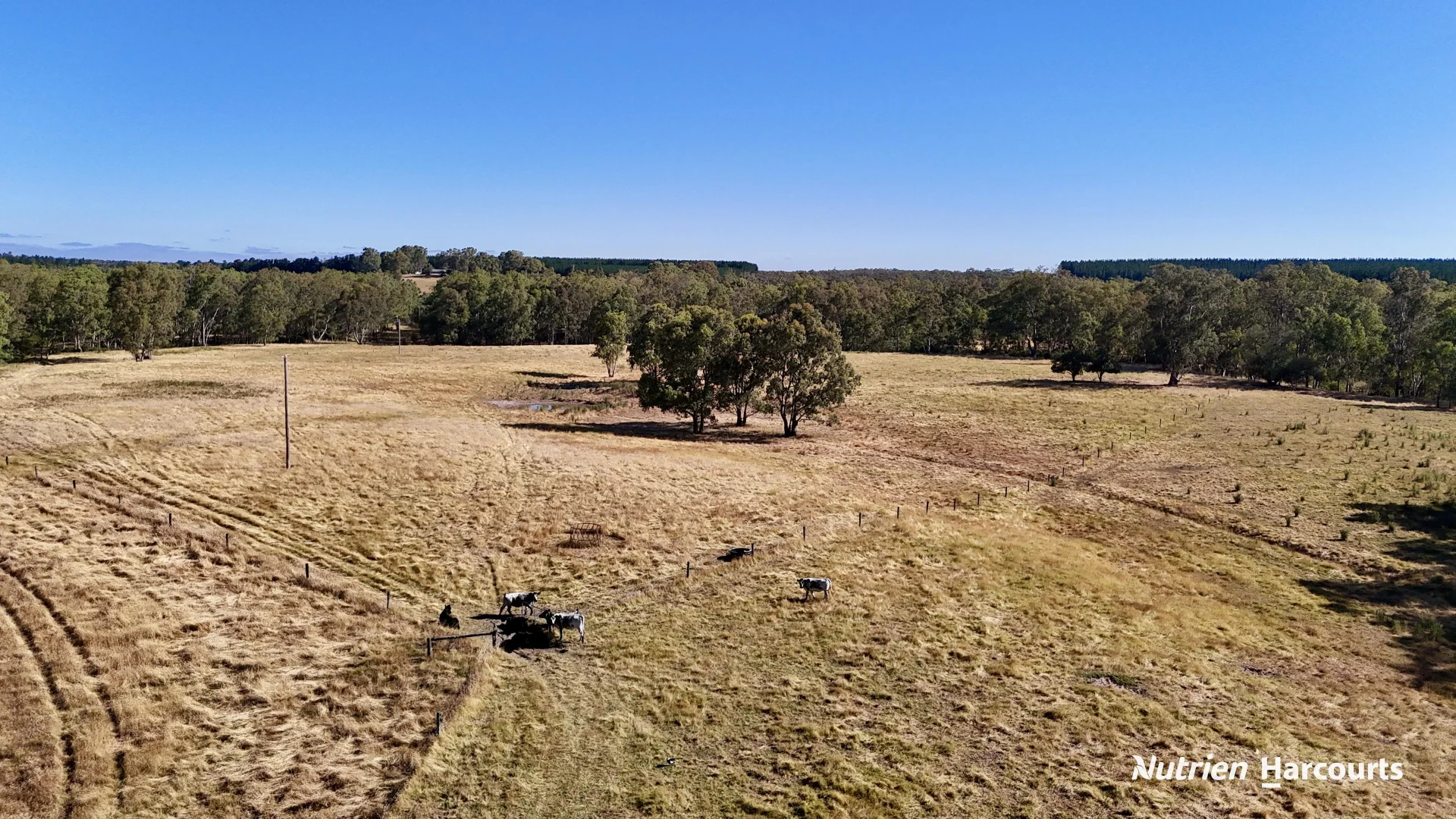 Additional image 18 of 579 Casterton - Dartmoor Road, Bahgallah VIC 3312