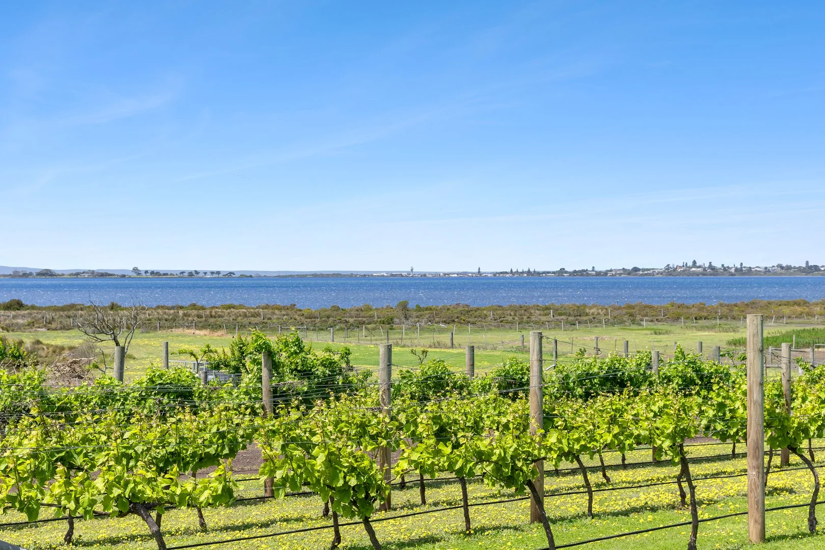 Additional image 22 of 43-53 Nye Road, Swan Bay VIC 3225