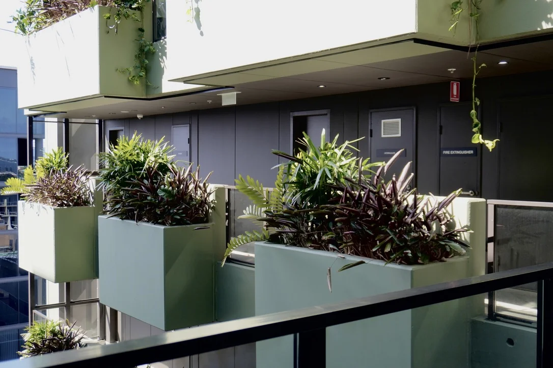 Additional image 15 of 32-36 Montgomery St, Kogarah NSW 2217