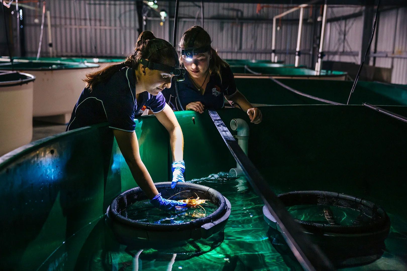 Additional image 12 of Alva QLD 4807