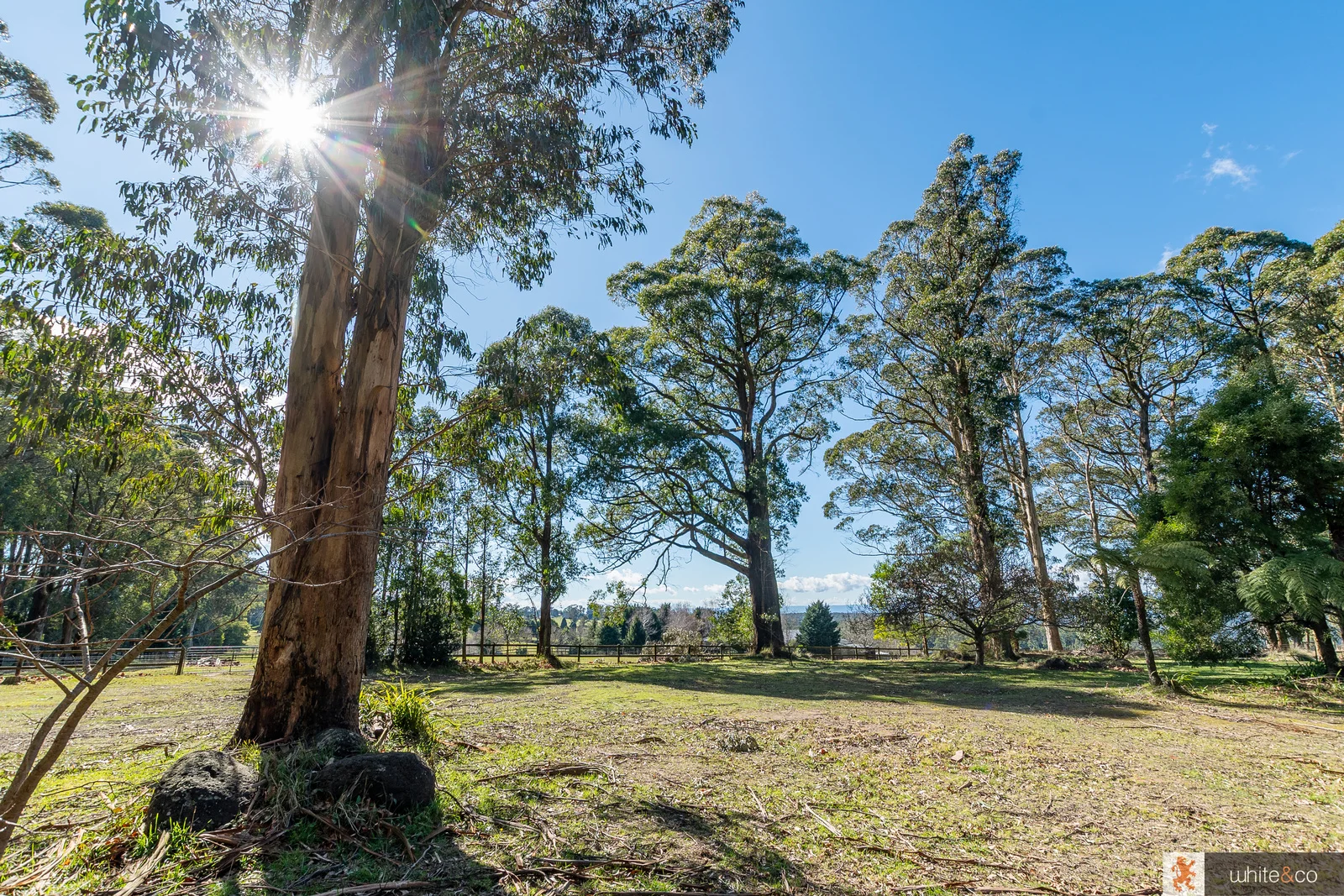 Additional image 6 of 22 Extons Road, Kinglake Central VIC 3757