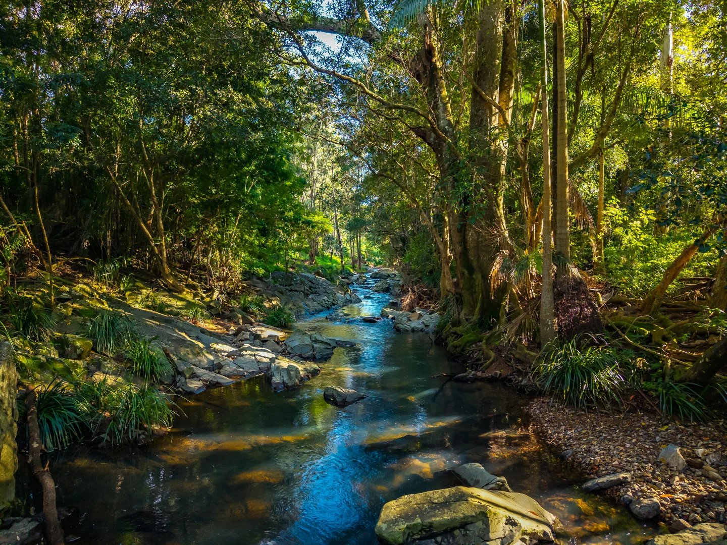 Additional image 4 of 69 Currey Road, Wongawallan QLD 4210