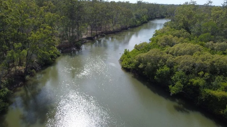 310 MOLLENHAGENS ROAD, Winfield QLD 4670