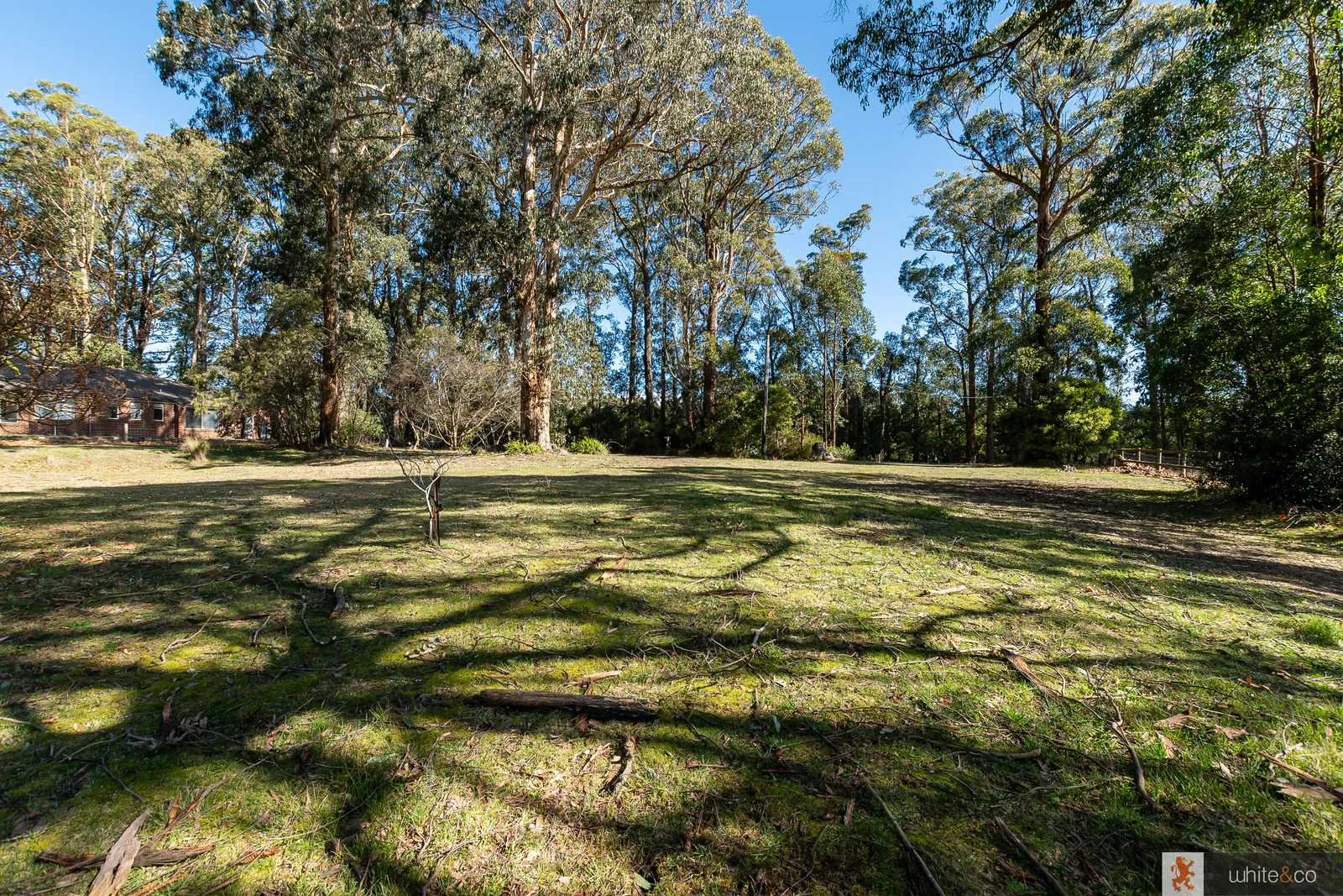 Additional image 3 of 22 Extons Road, Kinglake Central VIC 3757