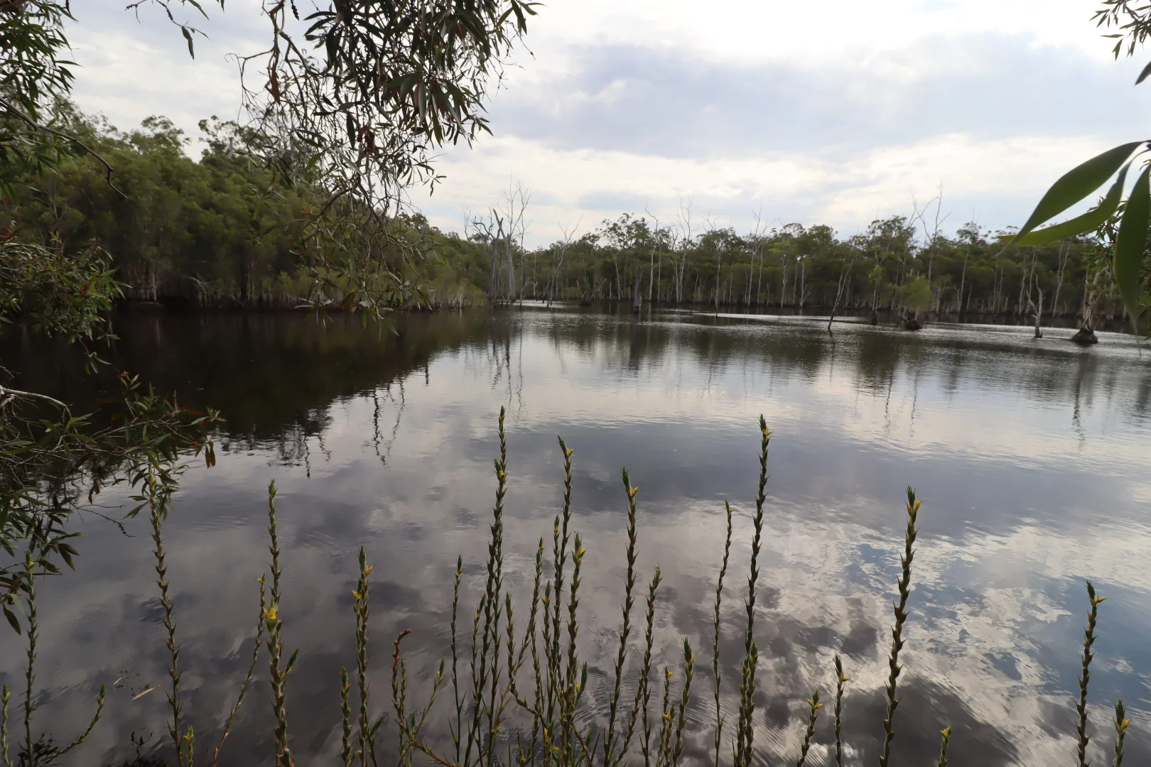 Additional image 2 of 107 Petersens Road, Yandaran QLD 4673