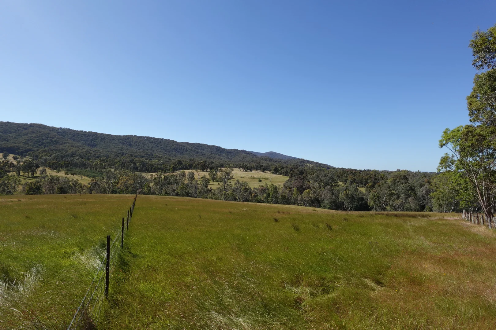 Additional image 10 of 2985 Midland Highway, Lima South VIC 3673