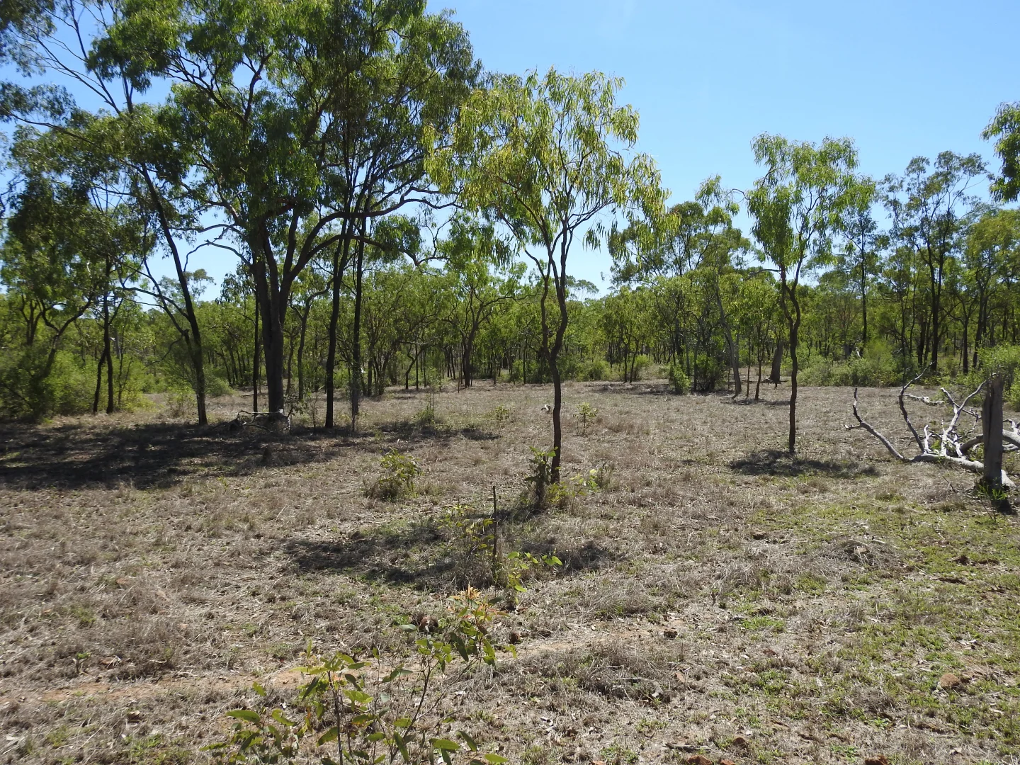 Additional image 8 of Broughton QLD 4820