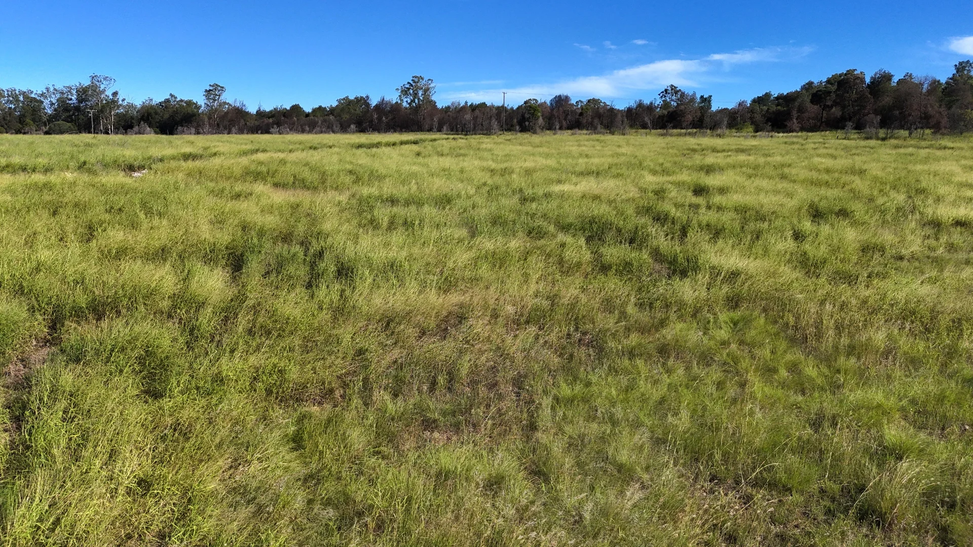Additional image 7 of Lot 112 Wondai Proston Road, Wondai QLD 4606