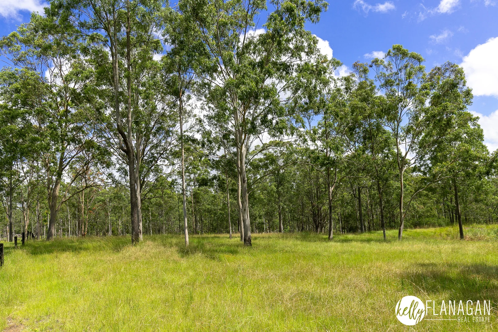 Additional image 24 of 130 Silverwood Avenue, Temagog NSW 2440