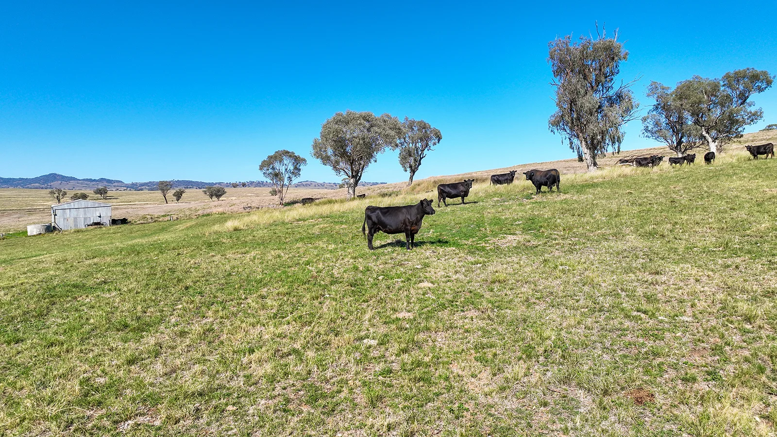 Additional image 32 of 322 Tongues Lane, Tamworth NSW 2340