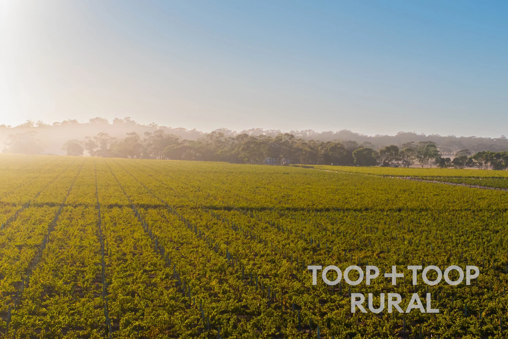 Additional image 14 of 1404 Research Road, Ebenezer SA 5355