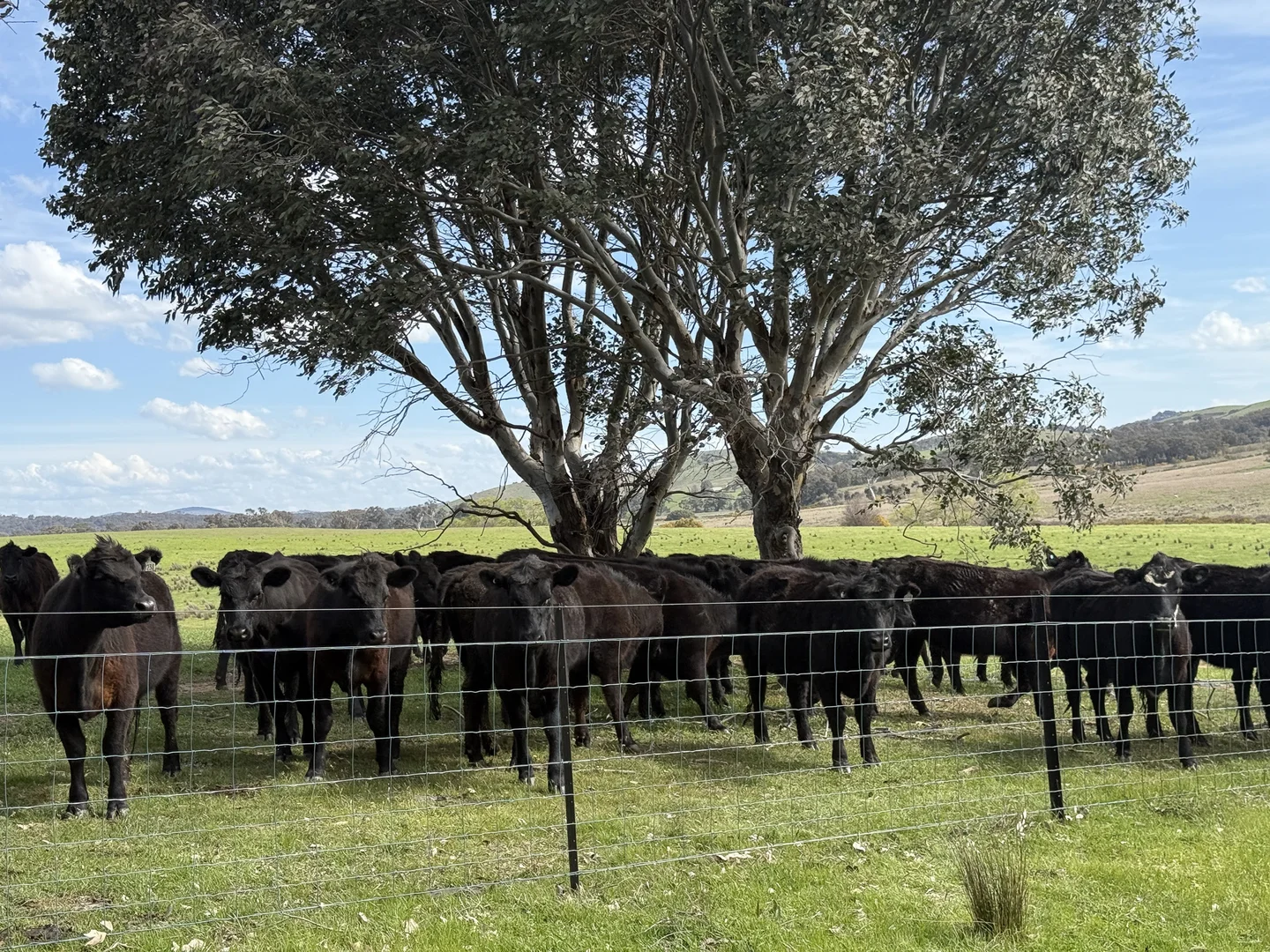 Additional image 7 of 569 & 640 Blakney Creek North Road, Blakney Creek NSW 2581