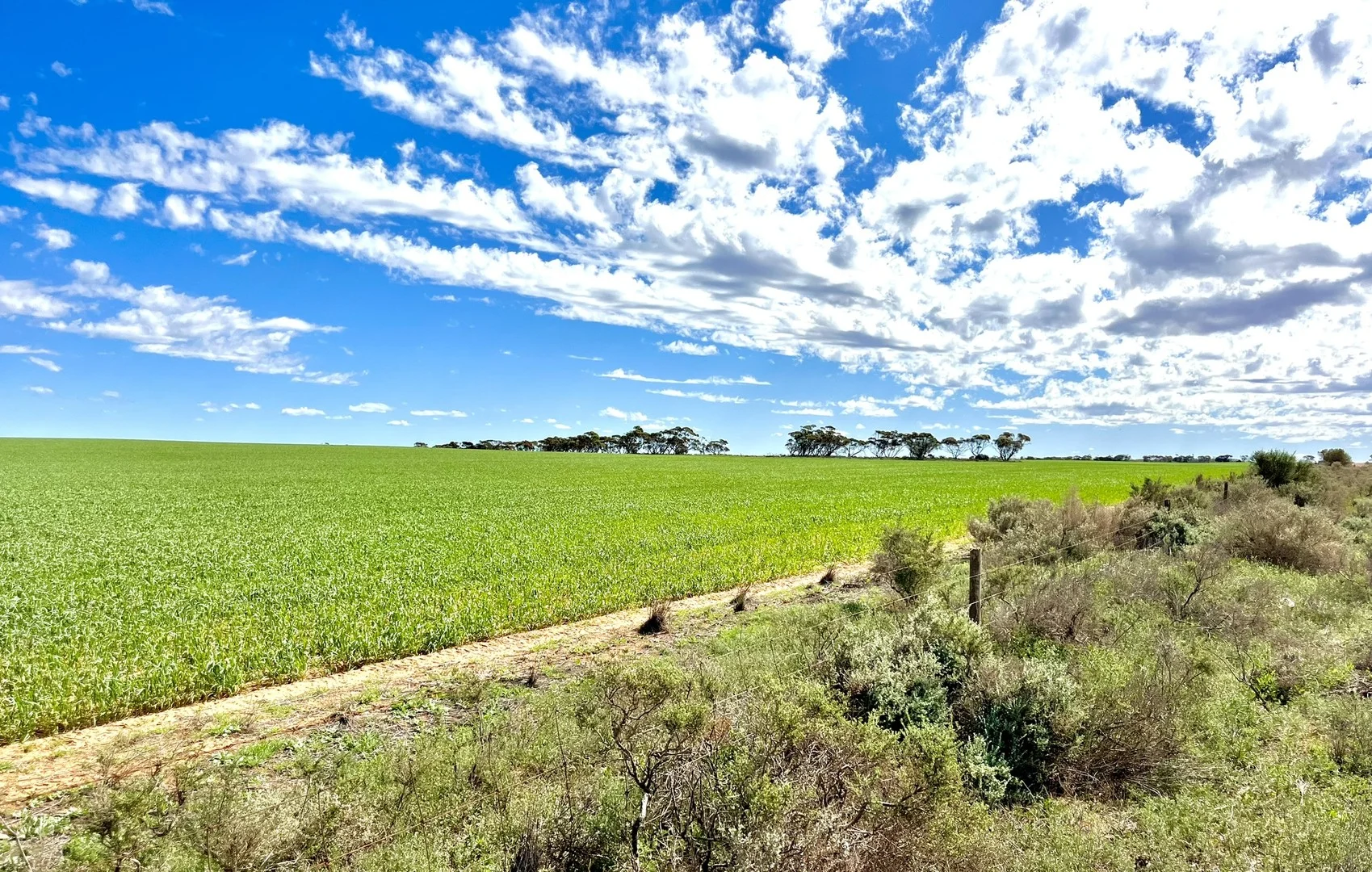 2944 OTC Road, Wandana SA 5690