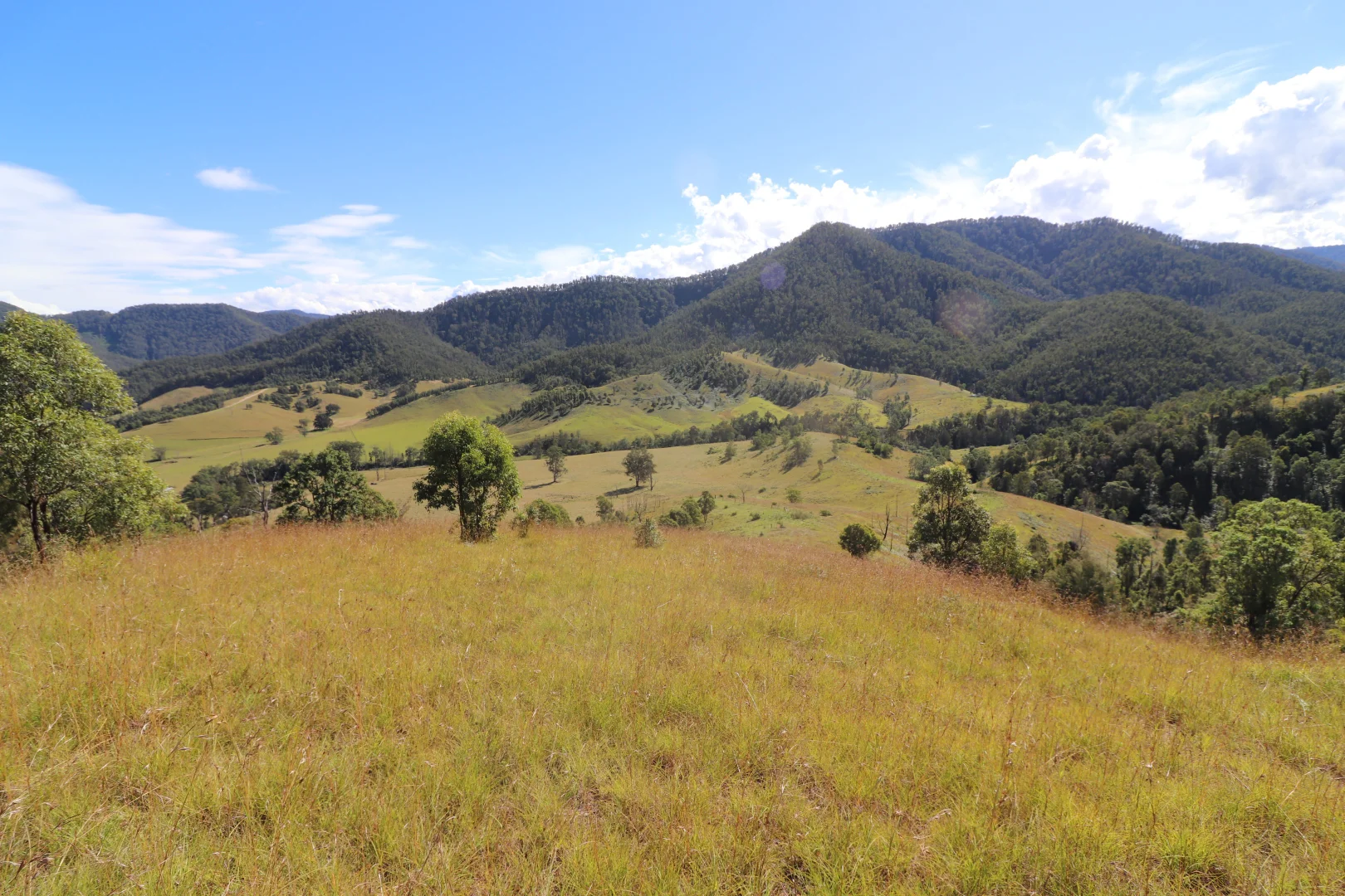 Additional image 14 of 2 Lower Creek Rd, Lower Creek NSW 2440