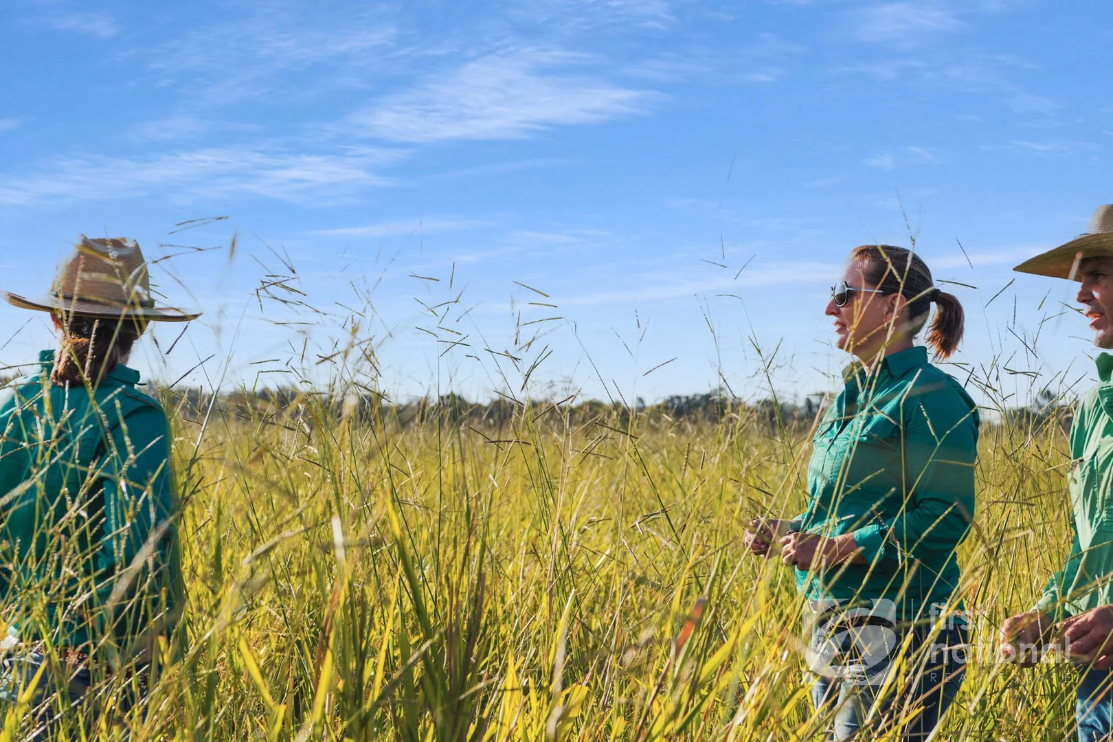 Additional image 27 of 149 Smiths Crossing Road, Bucca QLD 4670